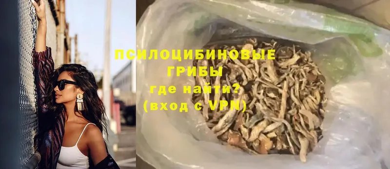 цена наркотик  маркетплейс формула  Галлюциногенные грибы Psilocybe  Лебедянь 